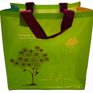 Europe Standard Laminated China PP Woven Bag