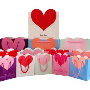 Fancy Paper Gift Bag