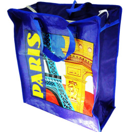 Luggage Shopping Bag