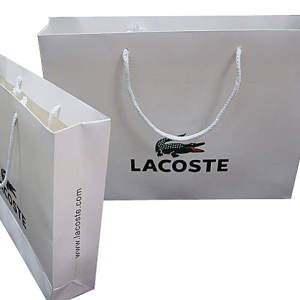 Luxury Shopping Paper Bag for Cloth