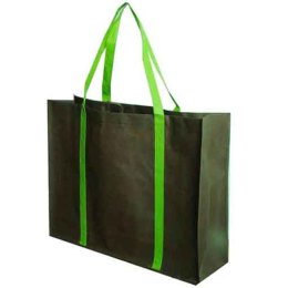 Reusable Shopping Bag