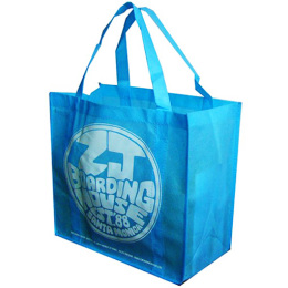 Reusable Shopping Bag