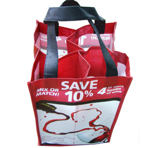 Reusable bottle Shopping Bag